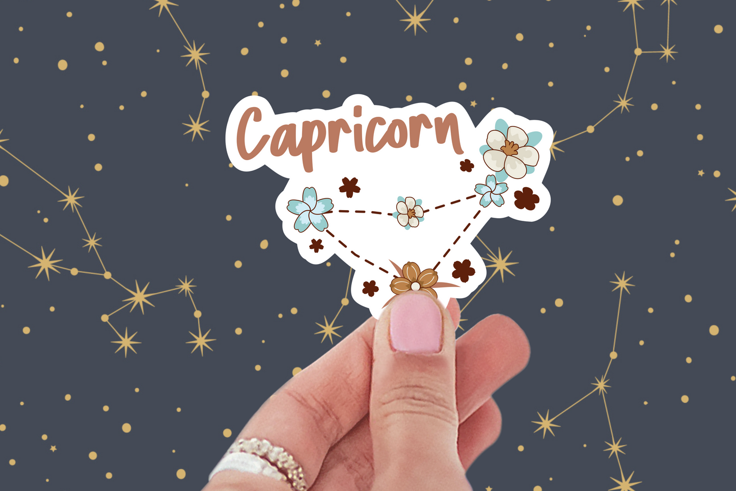 Capricorn Sticker