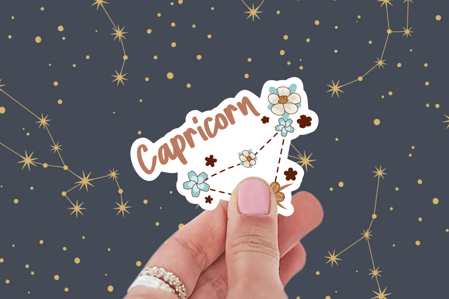 Capricorn Sticker